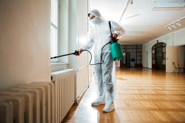 Best Fumigation Services  in Baileys Crossroads, VA